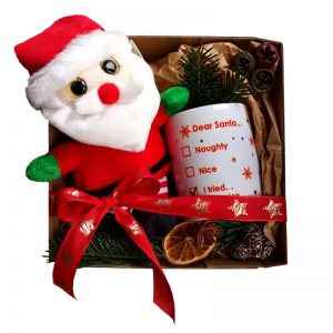 Set cadou "Dear Santa"