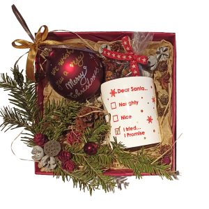 Set cadou pentru Craciun - Dear Santa I tried!