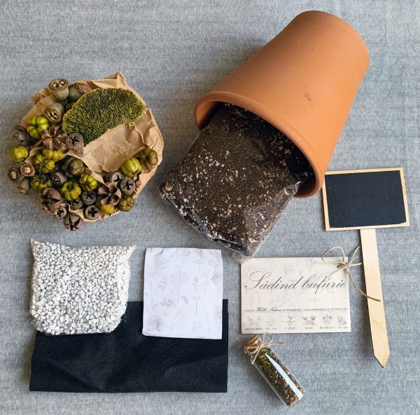 Sadeste prietenie - Kit cu seminte de flori de camp - imagine 3