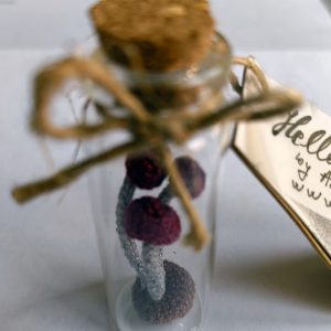 Ciupercute crosetate – decor handmade in miniatura