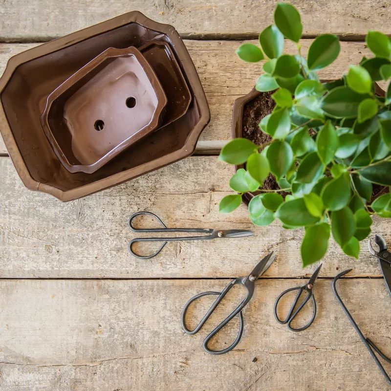 Foarfeca pentru bonsai din otel carbon - imagine 2